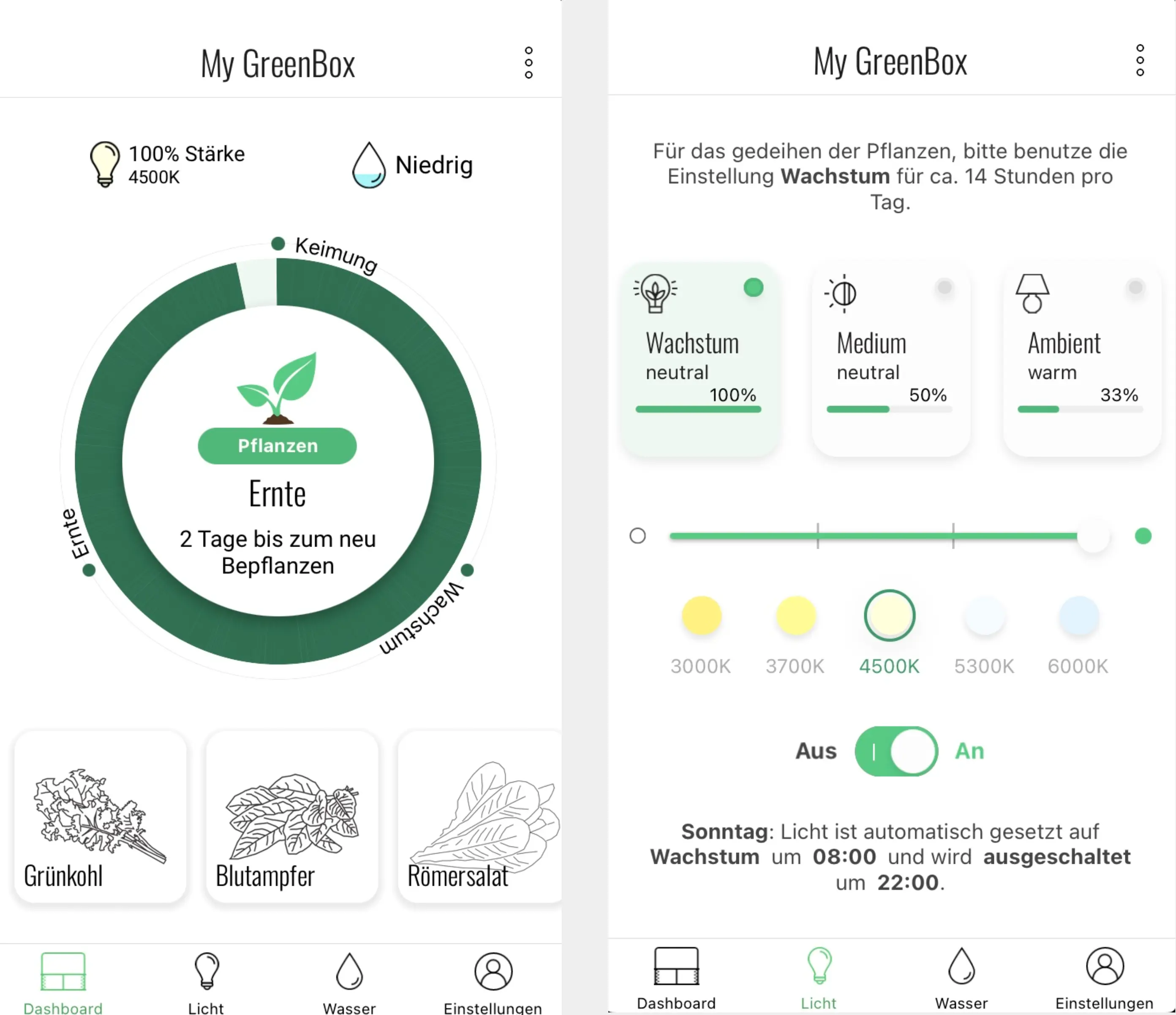Greenbox App: Dashboard und Licht