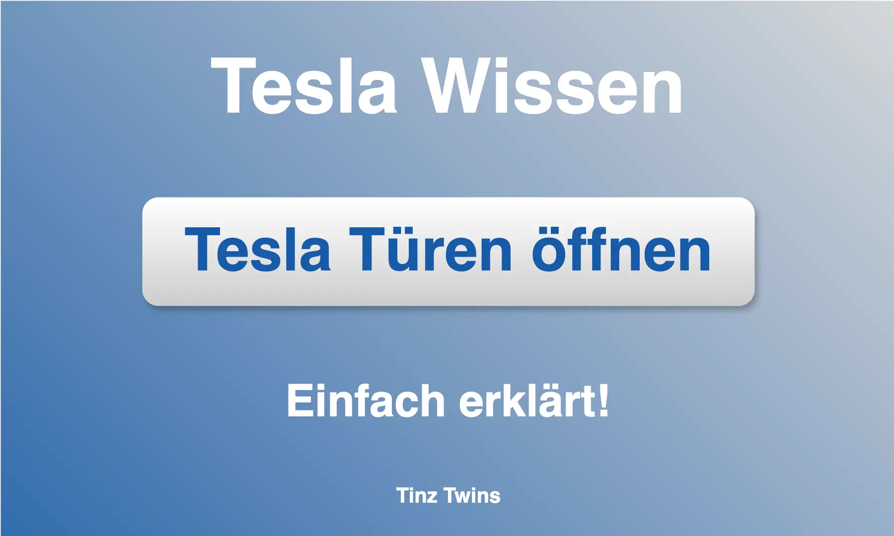 Tesla Türen öffnen