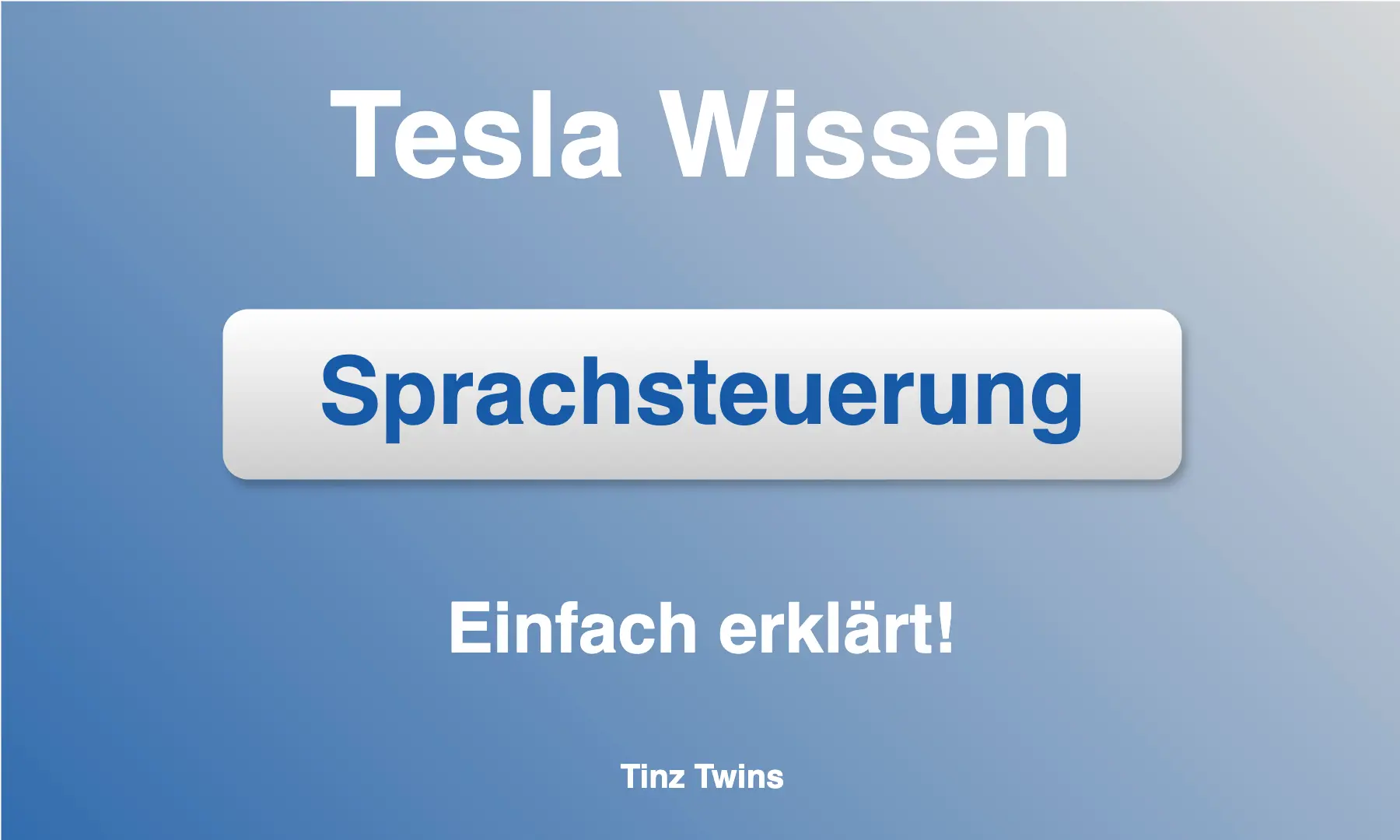 Sprachsteuerung im Tesla