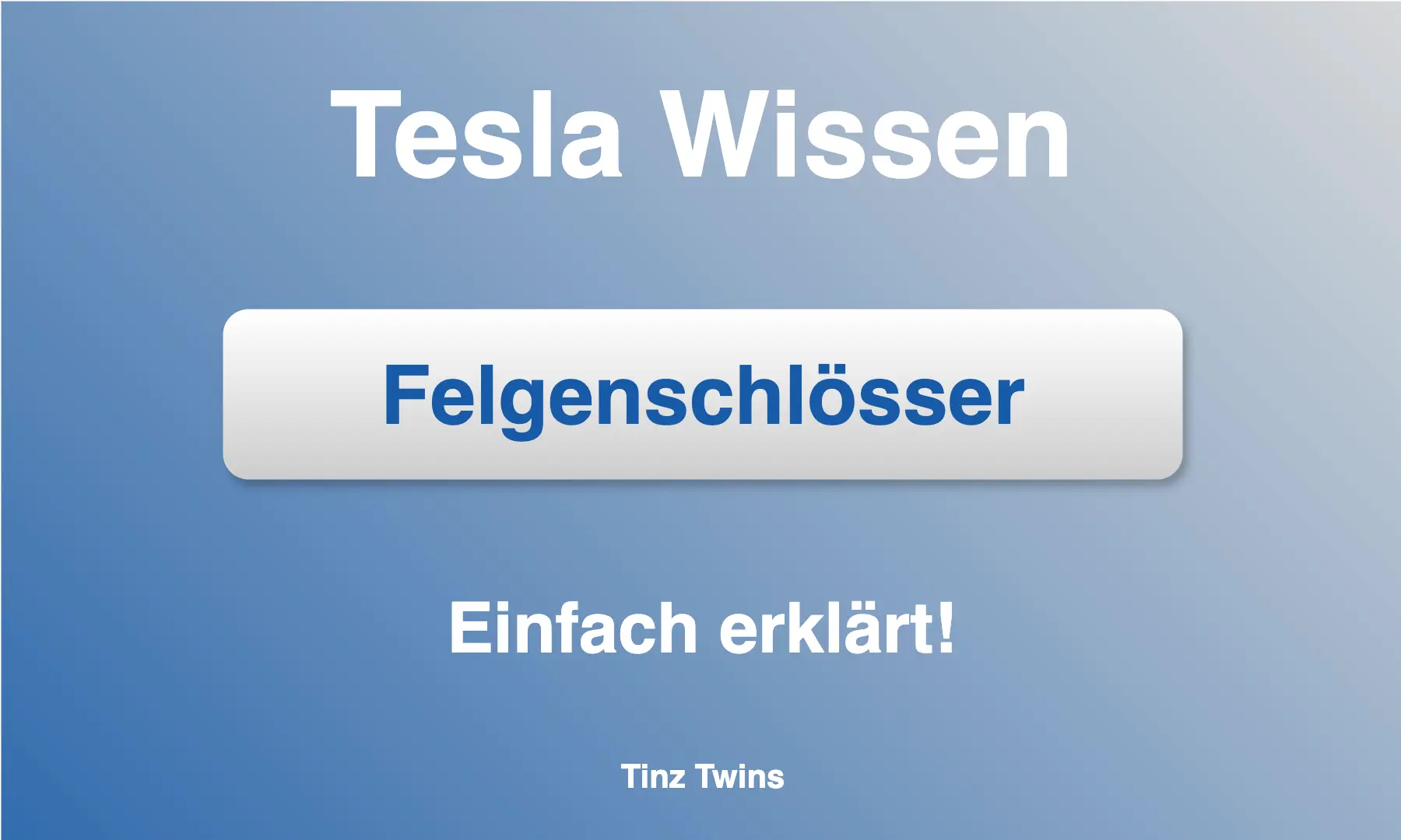 Felgenschlösser als Diebstahlschutz für Tesla-Felgen