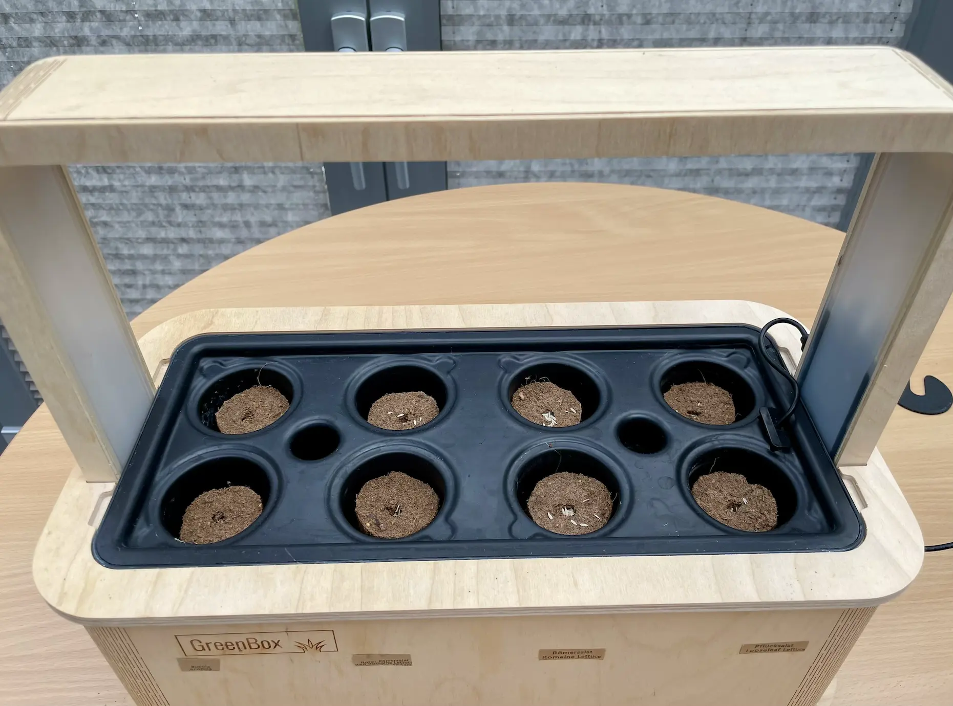 Setze die PlantPlugs mit Samen in die GreenBox