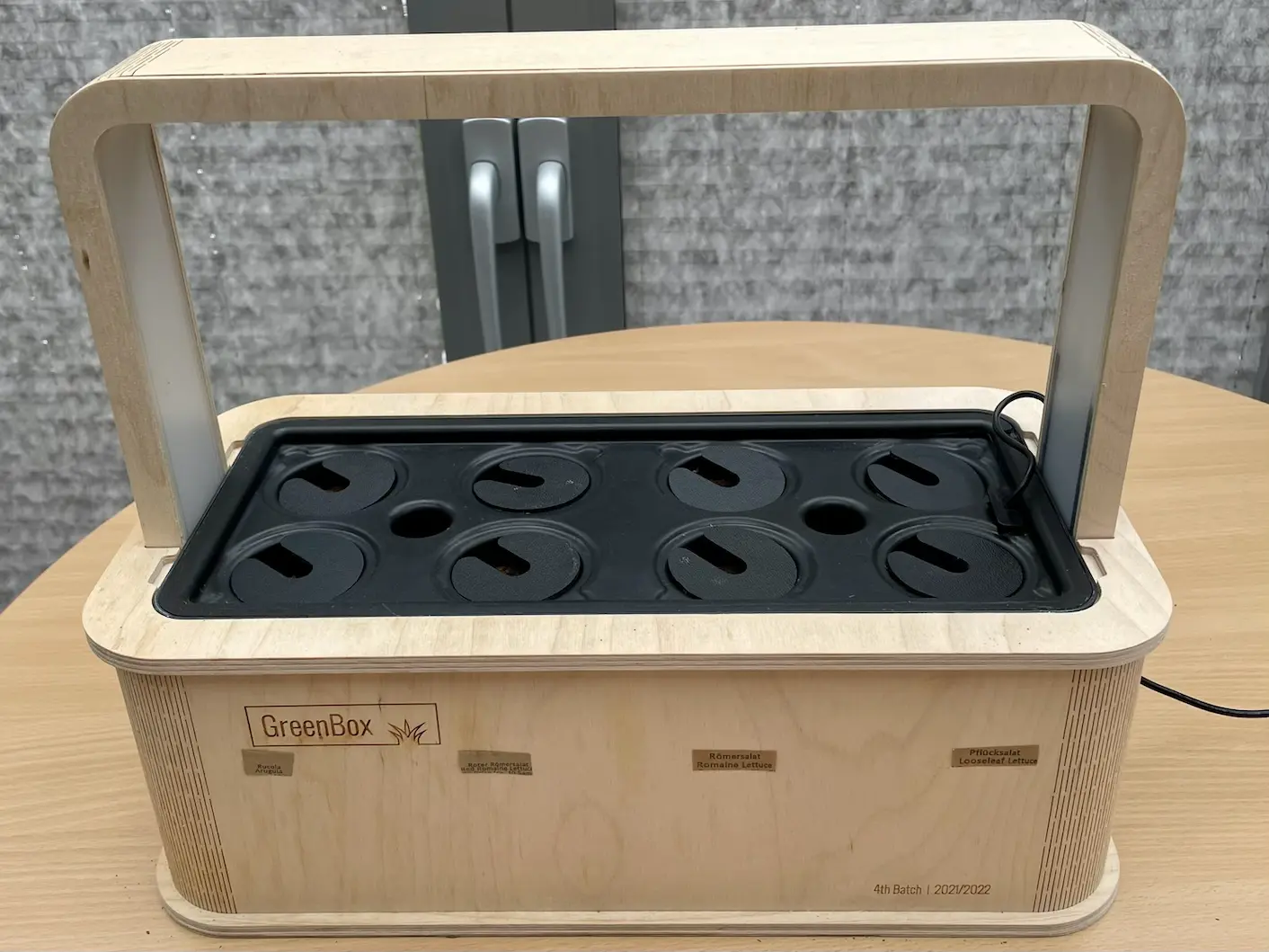 Lege die U-Plättchen auf die Pflanzplätze