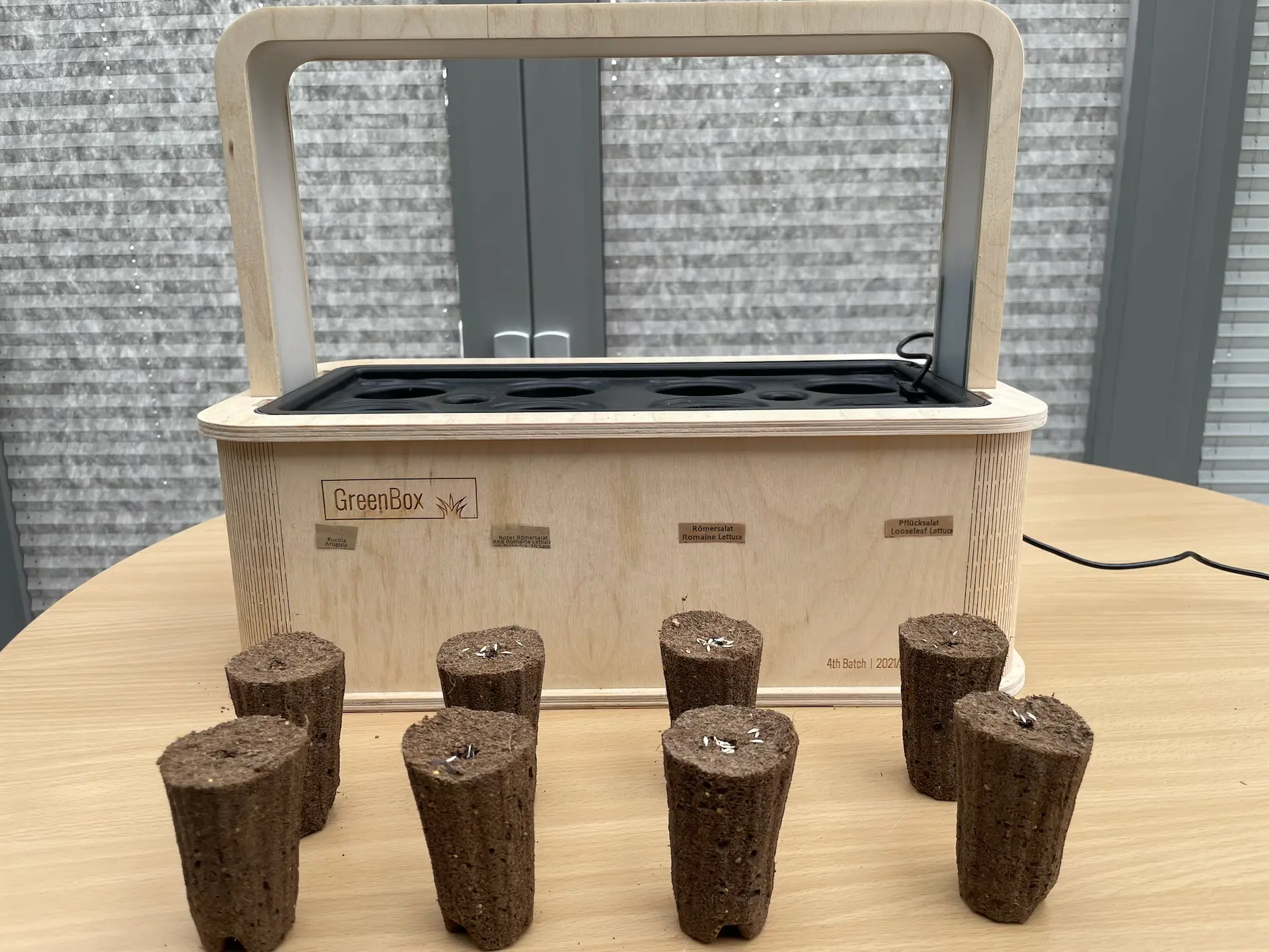 GreenBox: PlantPlugs mit Samen