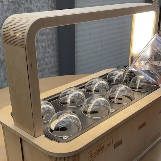 Setze die Keimhauben über die Plugs und füge Wasser hinzu