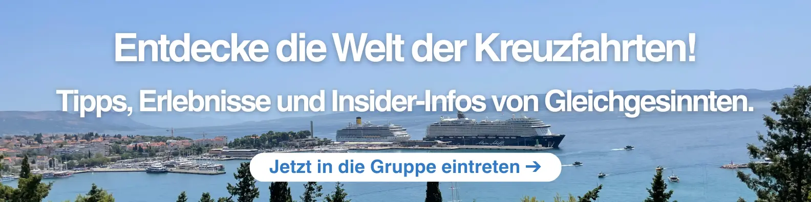 Cruise Copilot Facebook Gruppe